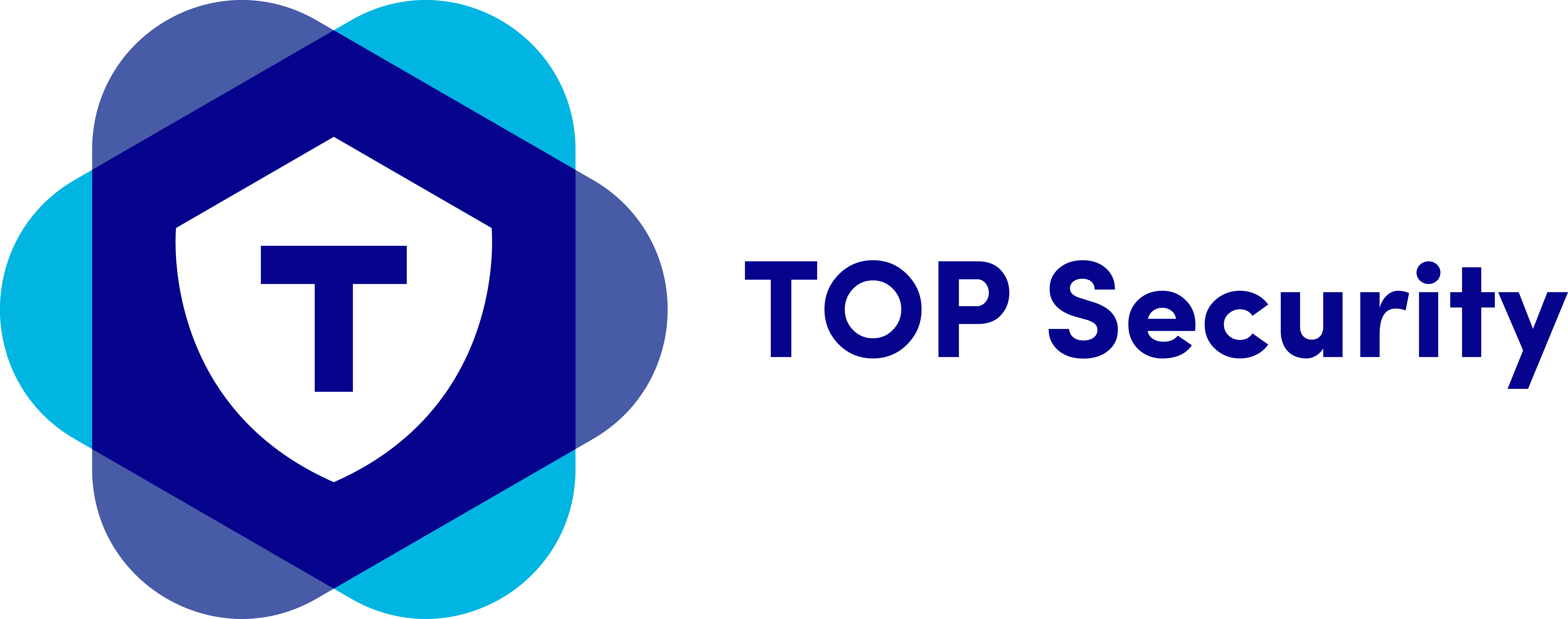 Logo TOP Security